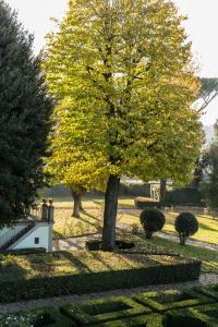Villa Olmi Firenze