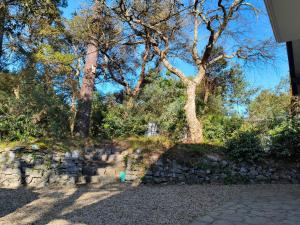 Charming villa near Hossegor golf and lake