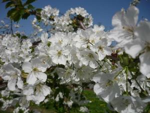 Obst- Und Ferienhof Karoline