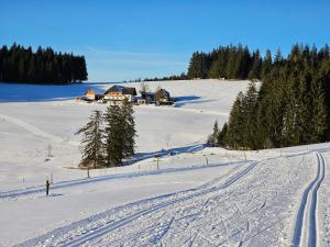 Lorenzenhäusle Titisee-Neustadt