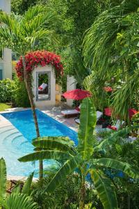 Luxury Apartments ISFA