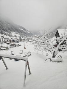 Lieblingsplatz - Ski in und Ski out