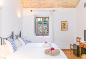 Historica house with Pool free wifi