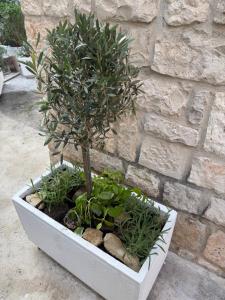 Old Town Stay by Ivo