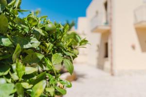 Casa Vacanza Paradise Piano Terra