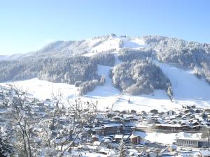 Chalet Arnica