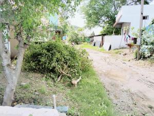 Saraswati Hut - Peaceful Stay at Tiru Arunachala Village
