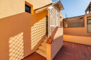 Gemma Piccolino img15