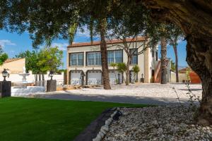 Summer Dream by Fidalsa