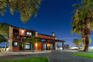 Summer Dream by Fidalsa