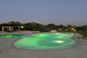 Tenuta degli Ulivi Luxury Relax