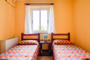 La Collina degli Ulivi