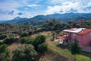 La Collina degli Ulivi img22