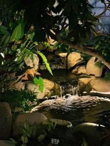Sams homestay