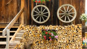 Lechnerhof Appartement Alpenrose