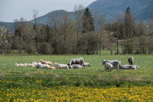Maison - Chez Léontine