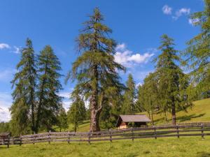 Aster Moments Apt Moritz