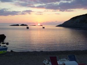 Il Lentischio - Corbezzolo