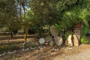 Il Lentischio - Corbezzolo img21