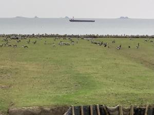 Bi uns to hus - Morgensünn