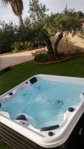 Delux with private pool