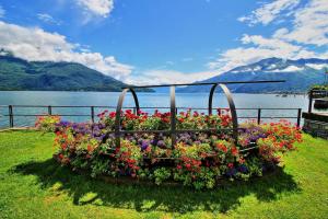Lake view Domaso