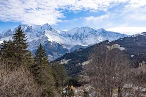 Appartement vue Mont Blanc