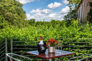 Fewo am Stadtsee - Bad Waldsee