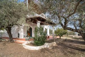 Villa Francesco P Terra img23