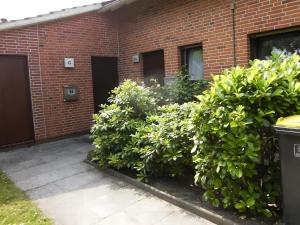 Ferienwohnungen Tiedemann