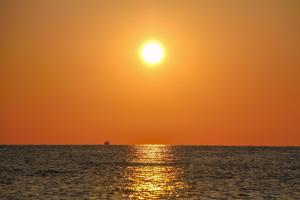 Nido 1 img17