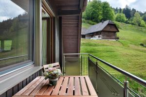 Ferienwohnung Glashütte