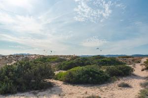 Conchiglia Blu img21