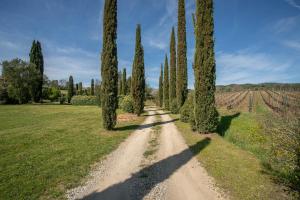 Lucente