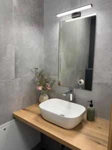 Apartment Moné - Kope