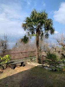 Casa Vacanze