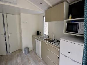 Mobil home, animaux admis - 2 pers. - API-1-52-2656