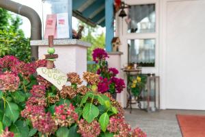 Ferienwohnung Kasperczak