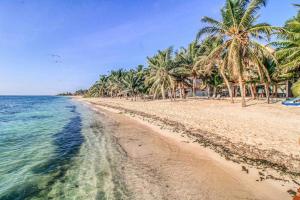 Beachfront home with private heated pool jacuzzi sauna ocean views & AC - 7th Heaven