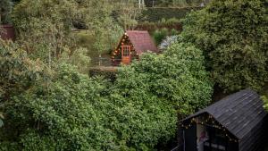Chalets en Santa Elena en medio del Bosque
