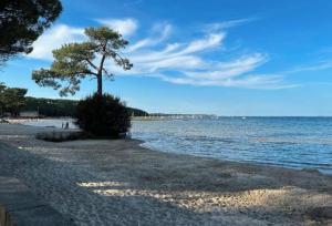 Appartement entre lac et océan