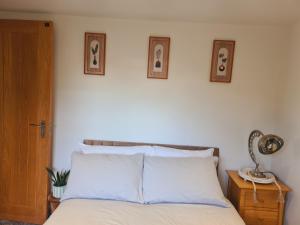 Lush Rooms Bedminster