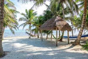 Beachfront paradise with private pool ocean view full kitchen & shaded patio - Villa Mandala