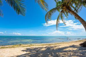 Oceanfront home with beach access pool balconies & waterfront hammocks - Villa Sol