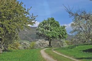 Ferienwohnungen beim Imker