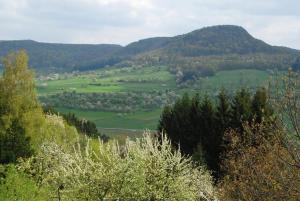 Ferienwohnungen beim Imker