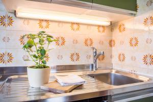 Ferienwohnung 3 Vikoler