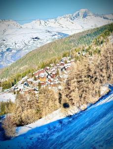 Appartement Soldanelle