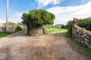 Appartamento Ambra One img39