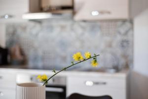 Appartamenti Villafiorito